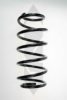 SPIDAN 49341 Coil Spring